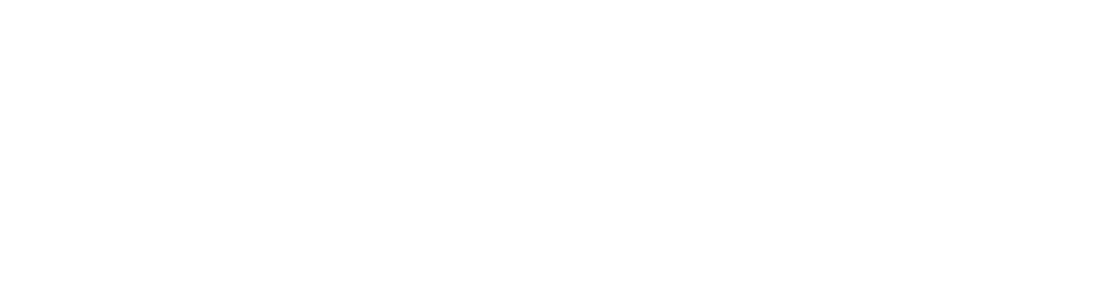 Logo Netshoes